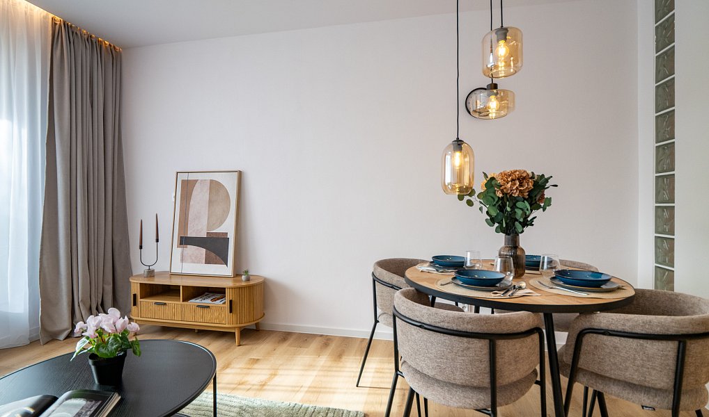 Prodej bytu 3+kk 60 m², Brno – náhled fotky 3
