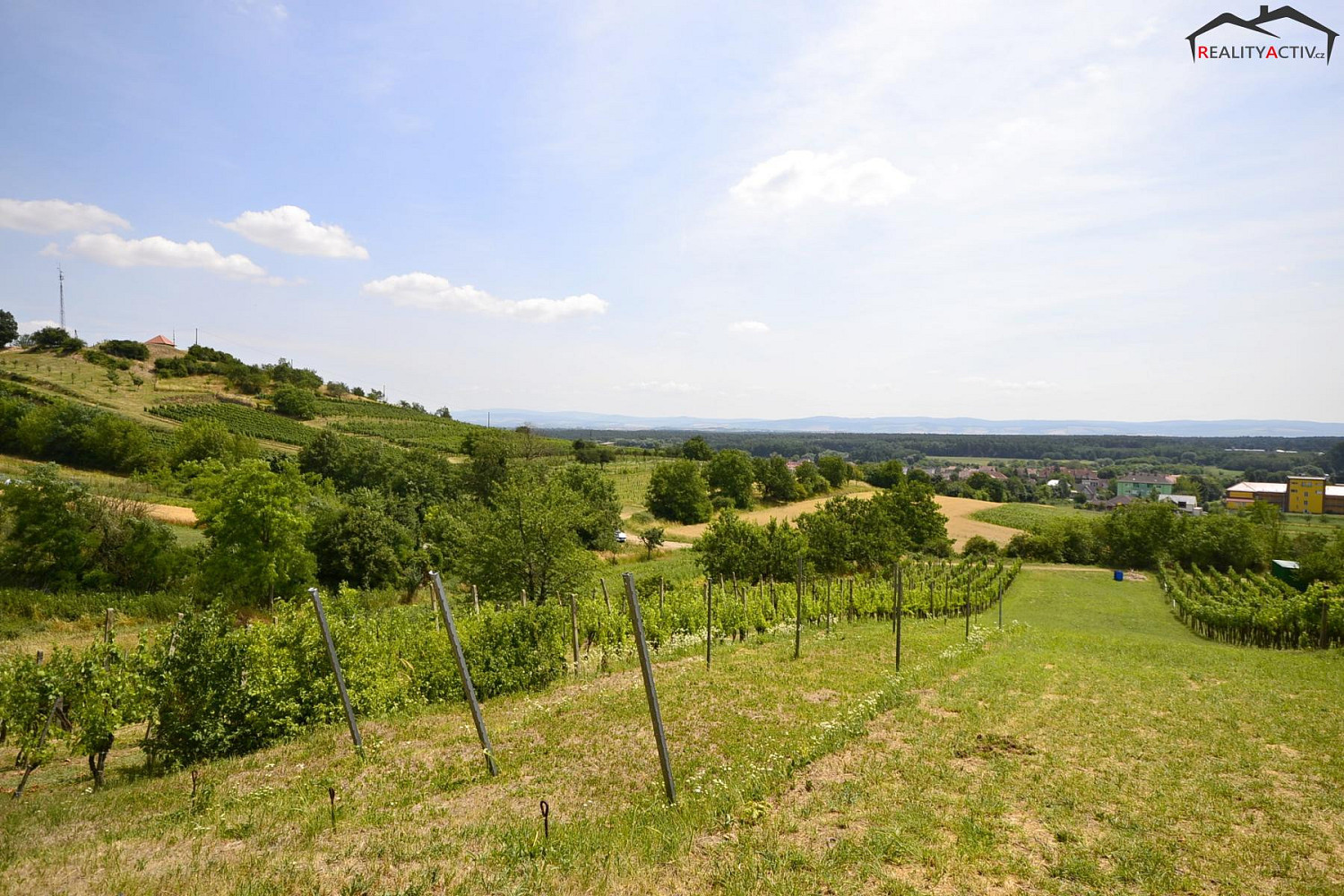 Prodej pole 2 460 m² — photo 3