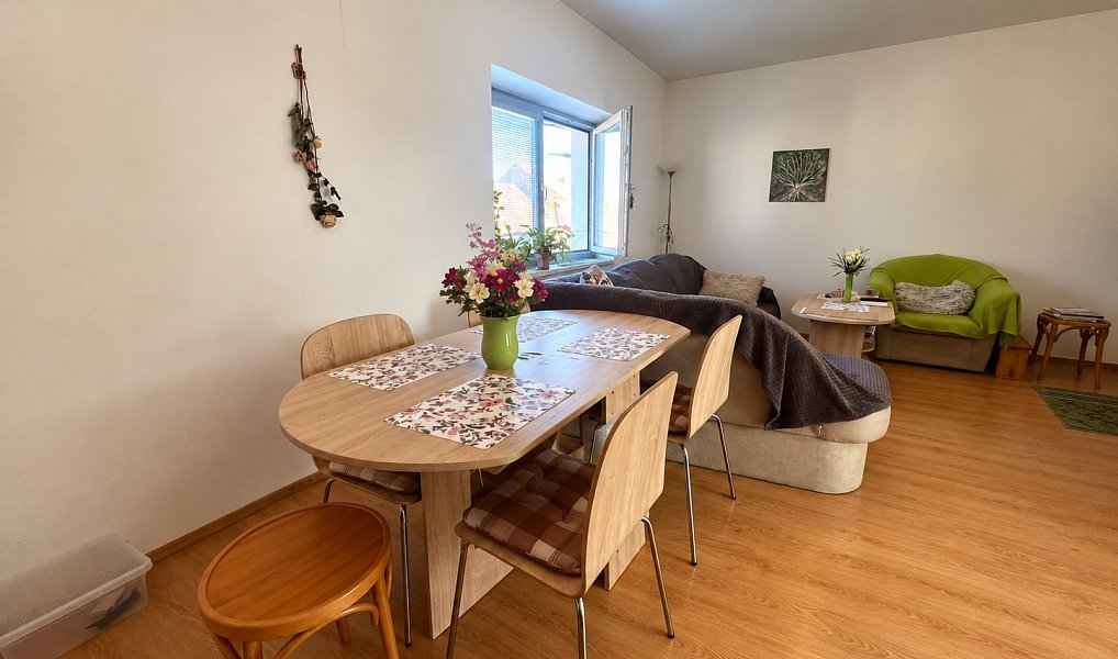 Prodej bytu 2+kk 49 m², Ratíškovice – náhled fotky 9