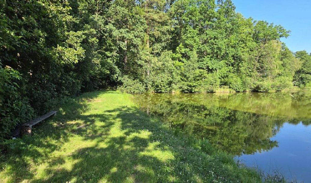 Prodej vodní plochy 18 189 m², Slezské Rudoltice – náhled fotky 7
