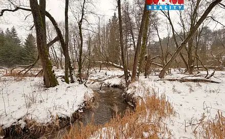 Prodej vodní plochy 8 552 m², Dolní Hořice - Pořín, okres Tábor