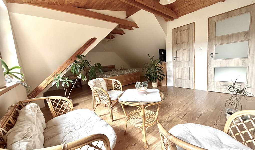 Prodej domu 240 m² s pozemkem 1 494 m², Bělá pod Pradědem – náhled fotky 19