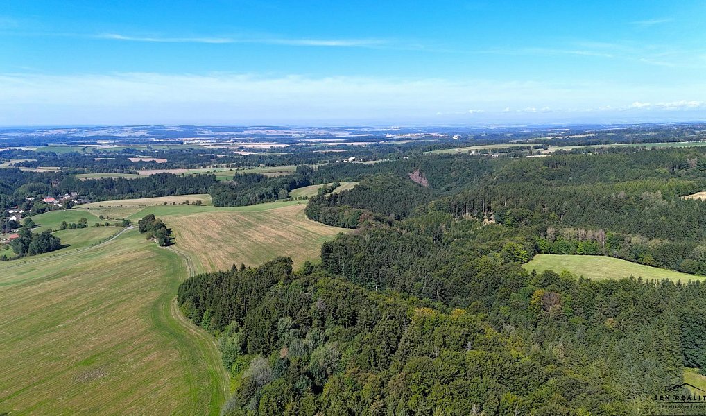 Prodej lesa 9 005 m², Liberk – náhled fotky 6
