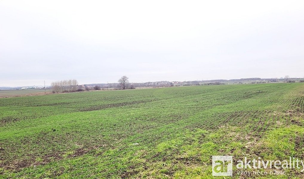 Prodej pole 11 950 m², Kostelec nad Labem – náhled fotky 3