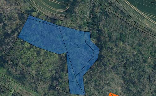 Prodej lesa 573 m², Mělnické Vtelno, okres Mělník
