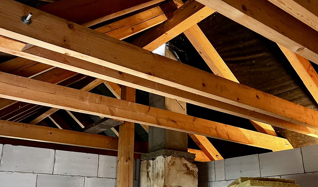 Prodej domu 300 m² s pozemkem 551 m², Praha – náhled fotky 11
