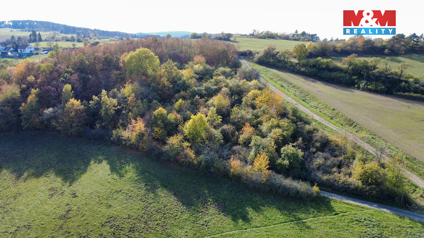Prodej pole 4 731 m² – fotografie 5