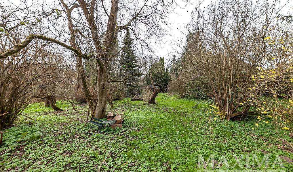 Prodej domu 350 m² s pozemkem 3 522 m², Sloup v Čechách – náhled fotky 28