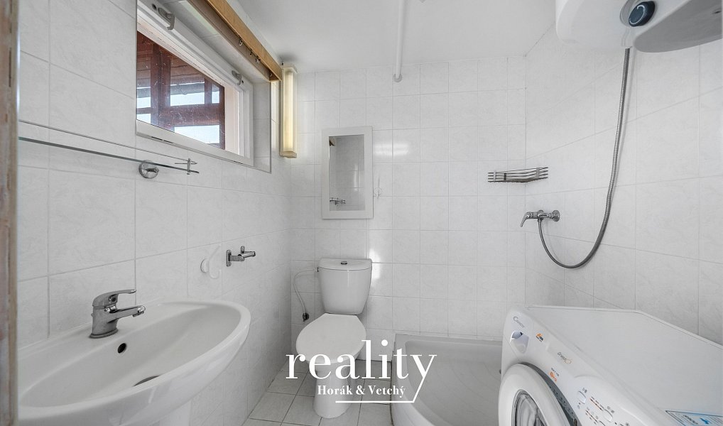 Prodej komerčního objektu (jiného typu) 130 m², Tavíkovice – náhled fotky 13