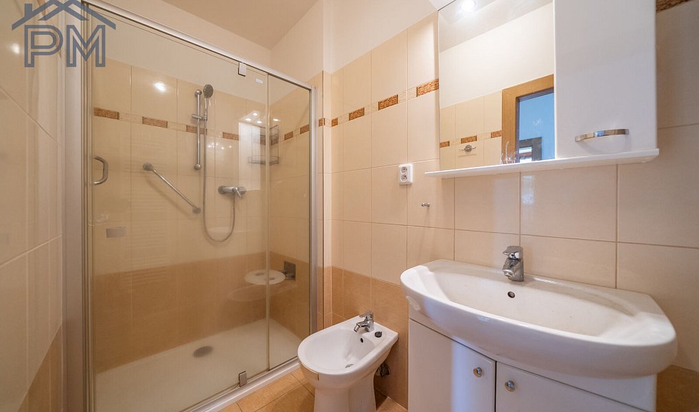 Prodej domu 244 m² s pozemkem 1 993 m², Babice nad Svitavou – náhled fotky 14