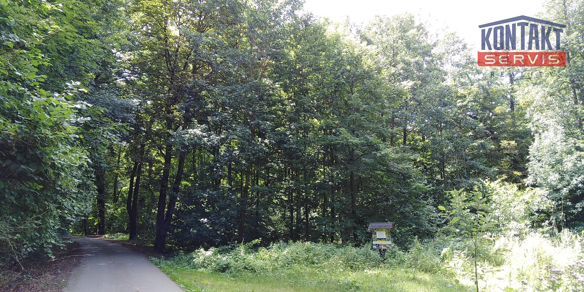 Prodej lesa 2 404 m²
