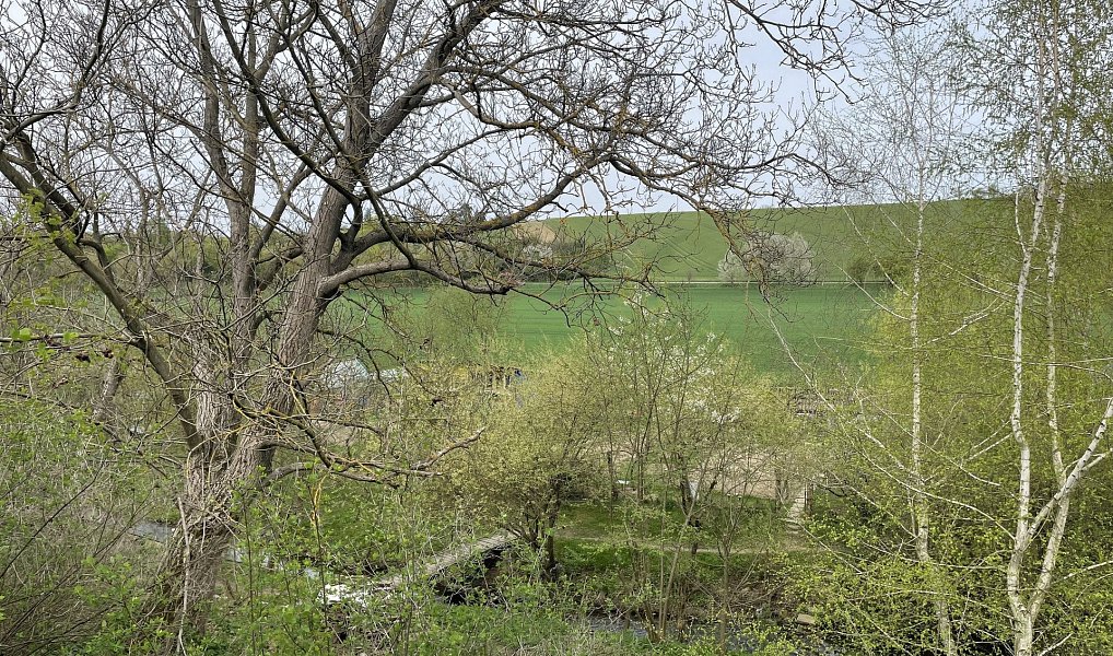 Prodej pozemku 507 m², Koryčany – náhled fotky 4