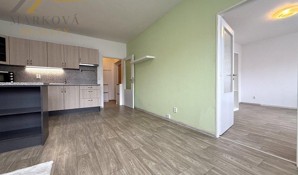 Prodej bytu 2+kk 46 m², České Budějovice – náhled fotky 10