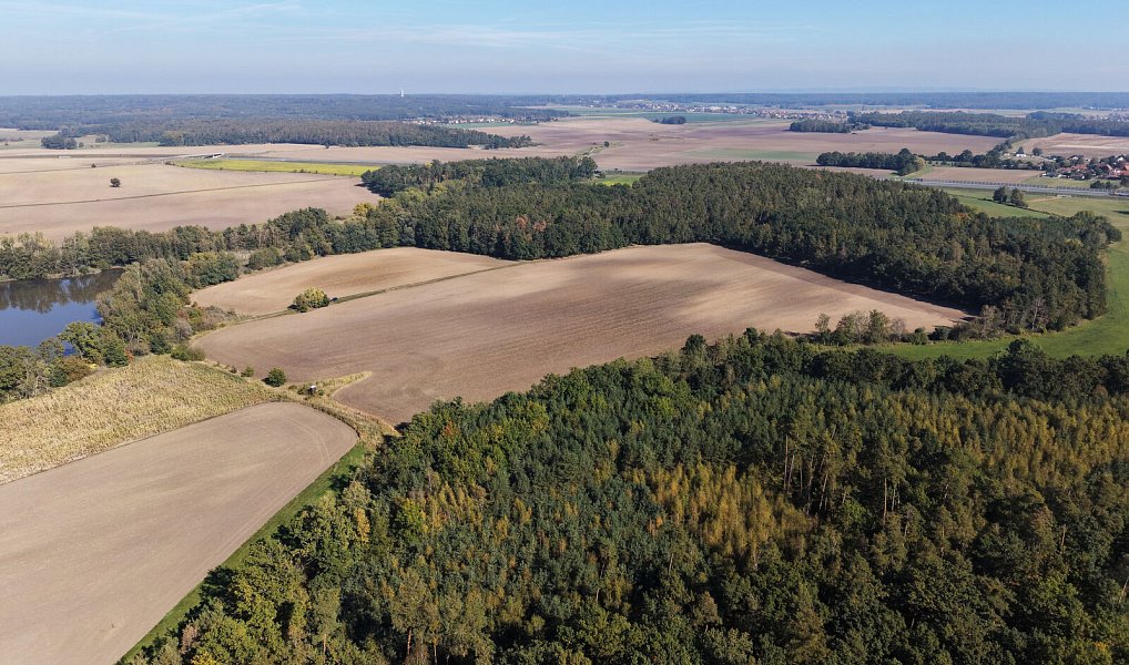 Prodej komerčního pozemku 99 492 m², Rokytno – náhled fotky 5