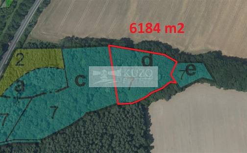 Prodej lesa 6 184 m², Mohelnice, okres Šumperk