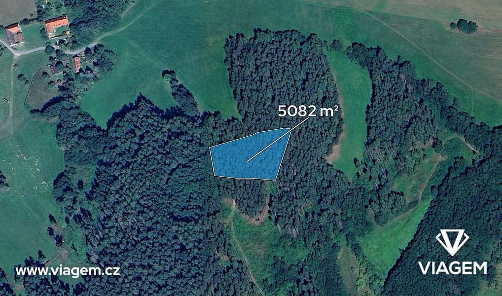 Prodej lesa 1 129 m², Volyně – náhled fotky 2