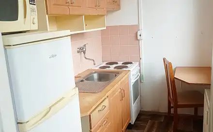 Pronájem bytu 1+1 27 m², Růžová, Most