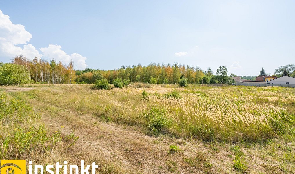 Prodej stavebního pozemku 1 494 m², Zbůch – náhled fotky 5
