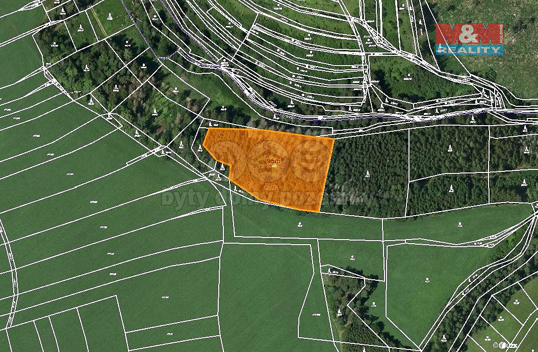 Prodej lesa 9 123 m² – fotografie 3