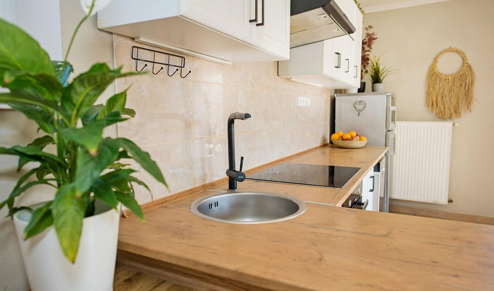 Prodej domu 55 m² s pozemkem 478 m², Doudleby – náhled fotky 15