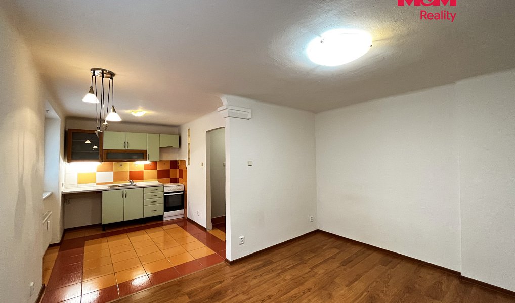 Pronájem bytu 1+1 30 m², Plzeň – náhled fotky 2