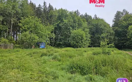 Prodej louky 922 m², Hynčina, okres Šumperk