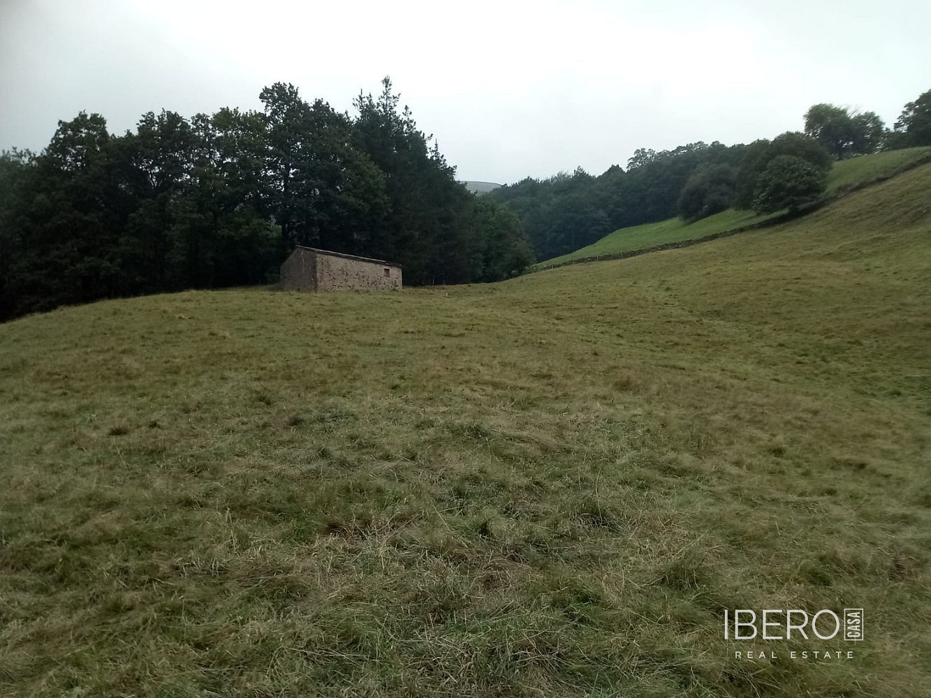 Prodej domu 130 m² s pozemkem 28 499 m²