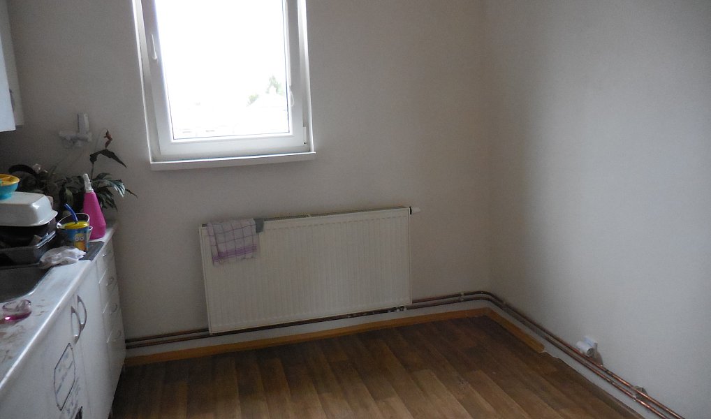 Pronájem bytu 1+1 45 m², Zabrušany – náhled fotky 2