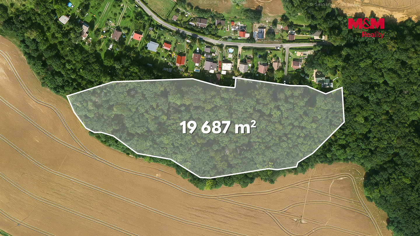 Prodej lesa 49 399 m² – fotografie 4