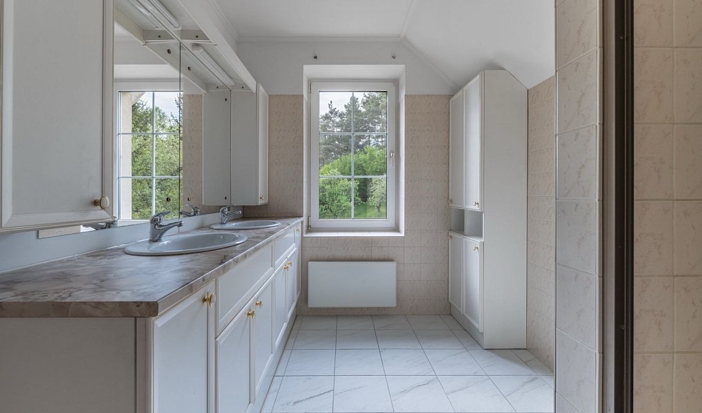 Prodej domu 289 m² s pozemkem 3 375 m², Družec – náhled fotky 27