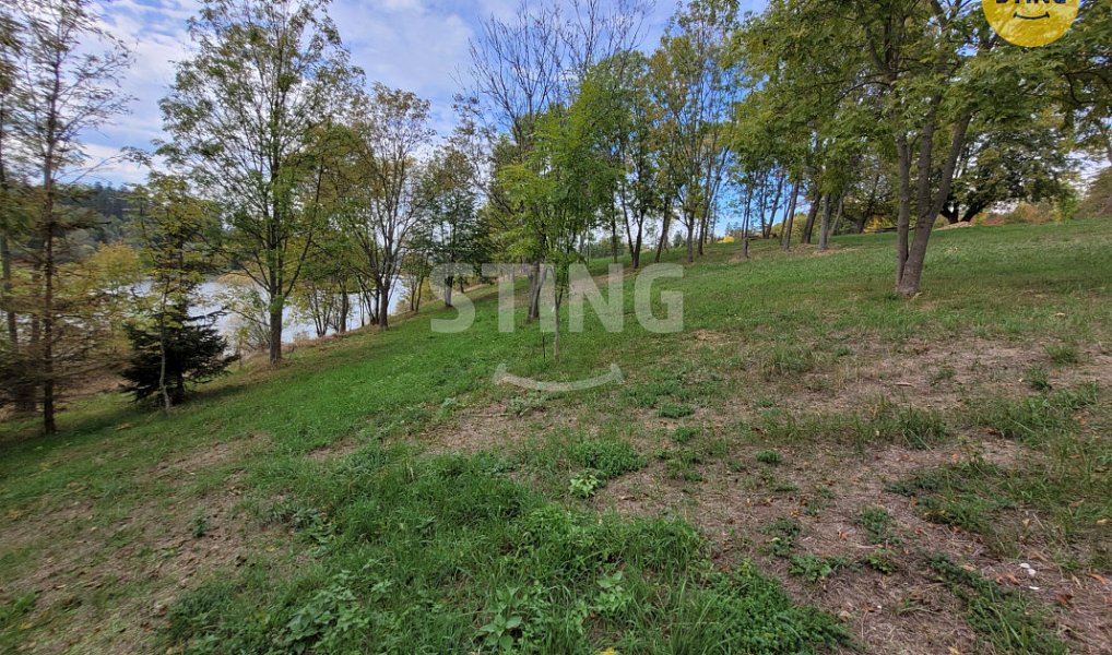 Pronájem lesa 1 304 m², Razová – náhled fotky 4