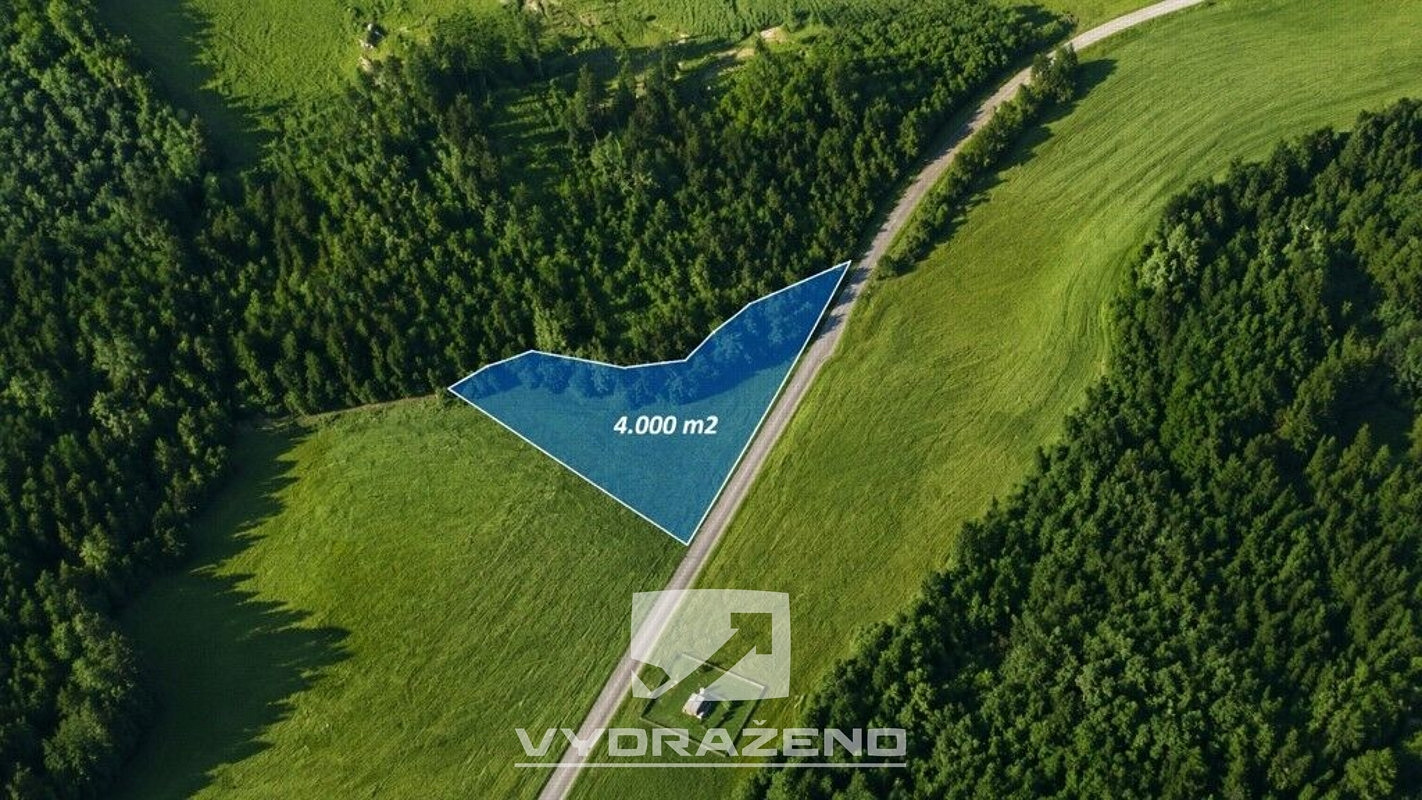 Prodej louky 4 000 m²