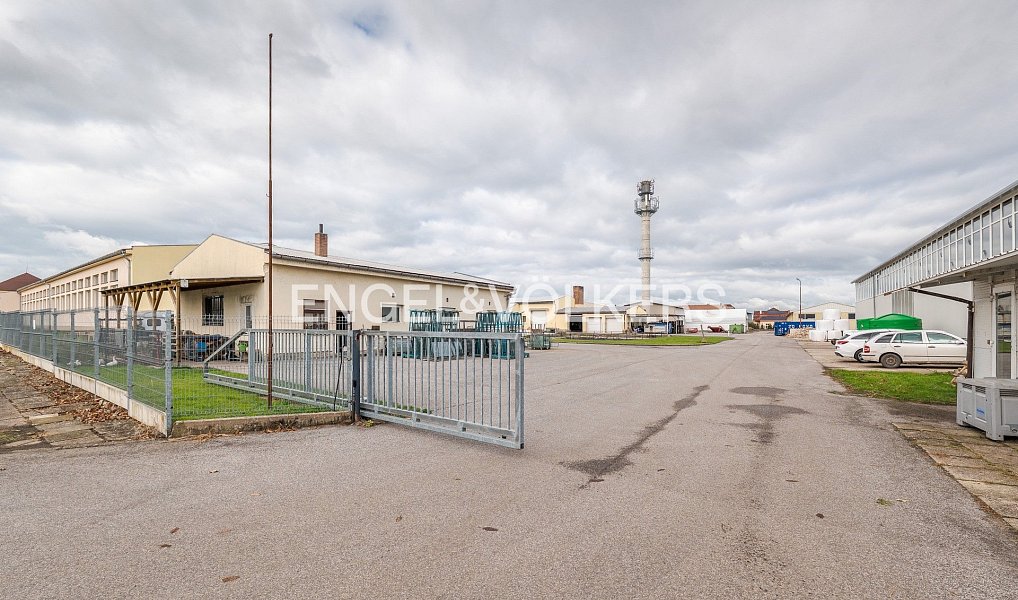Pronájem skladovacích prostor 1 321 m², Vysoké Veselí – náhled fotky 8