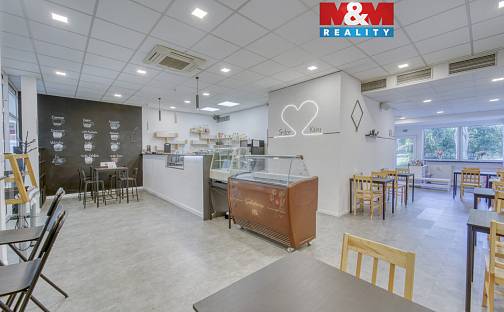 Pronájem obchodních prostor 100 m², Plzeňská, Třemošná, okres Plzeň-sever