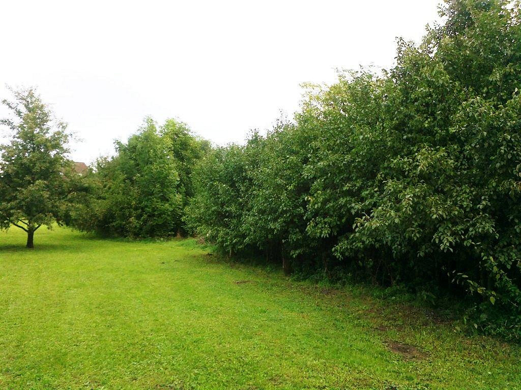 Prodej zemědělského objektu 20 000 m²