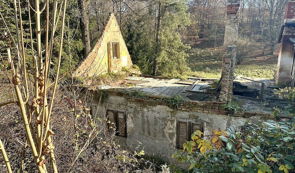 Prodej domu 100 m² s pozemkem 735 m², Dolní Poustevna – náhled fotky 5
