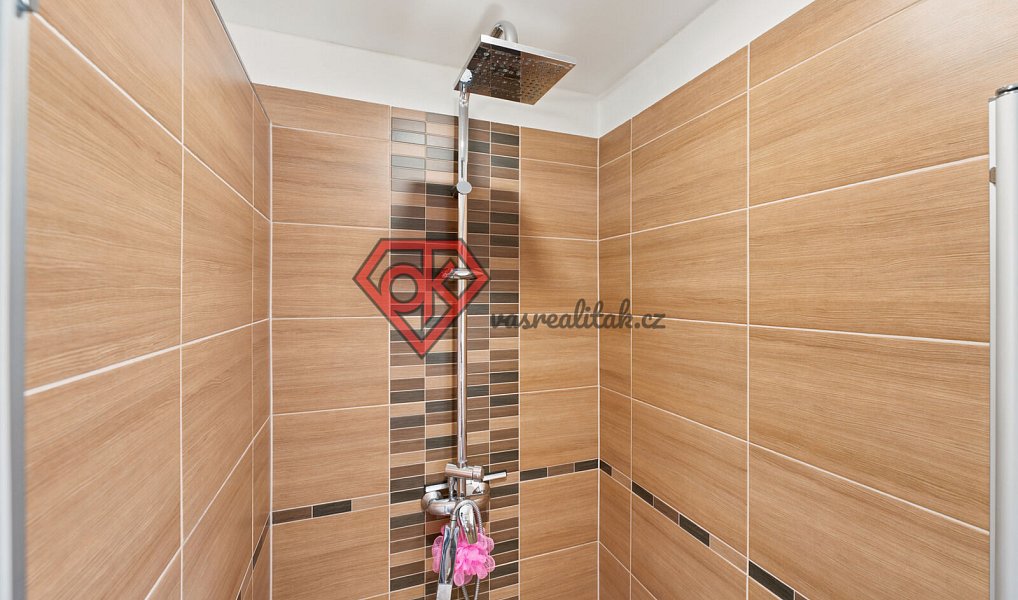 Prodej domu 201 m² s pozemkem 602 m², Orlické Podhůří – náhled fotky 11