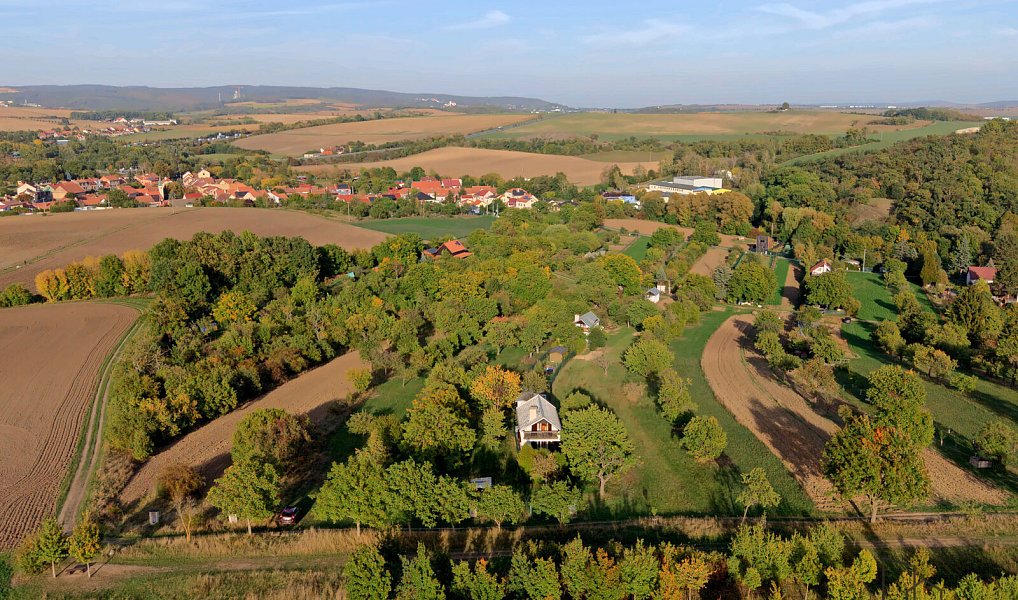Ostatní