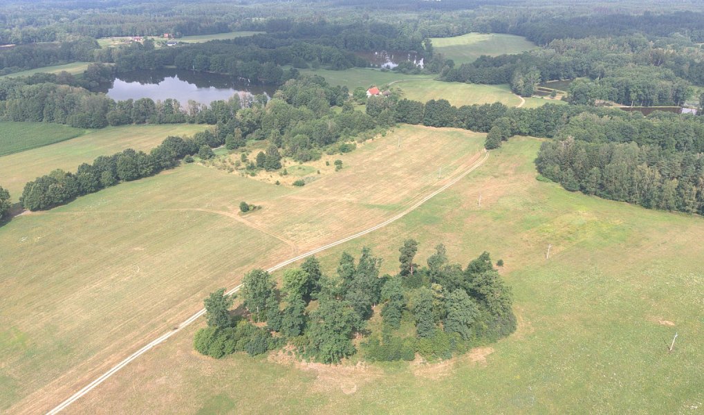 Prodej lesa 360 000 m², Chlum u Třeboně – náhled fotky 9