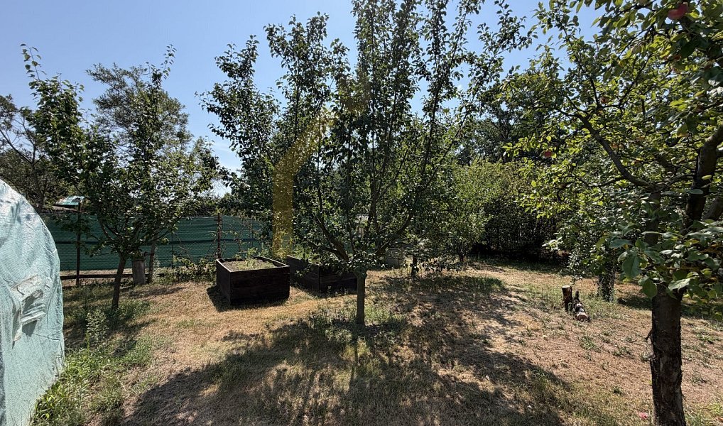 Prodej zahrady 556 m², Hodonín – náhled fotky 11