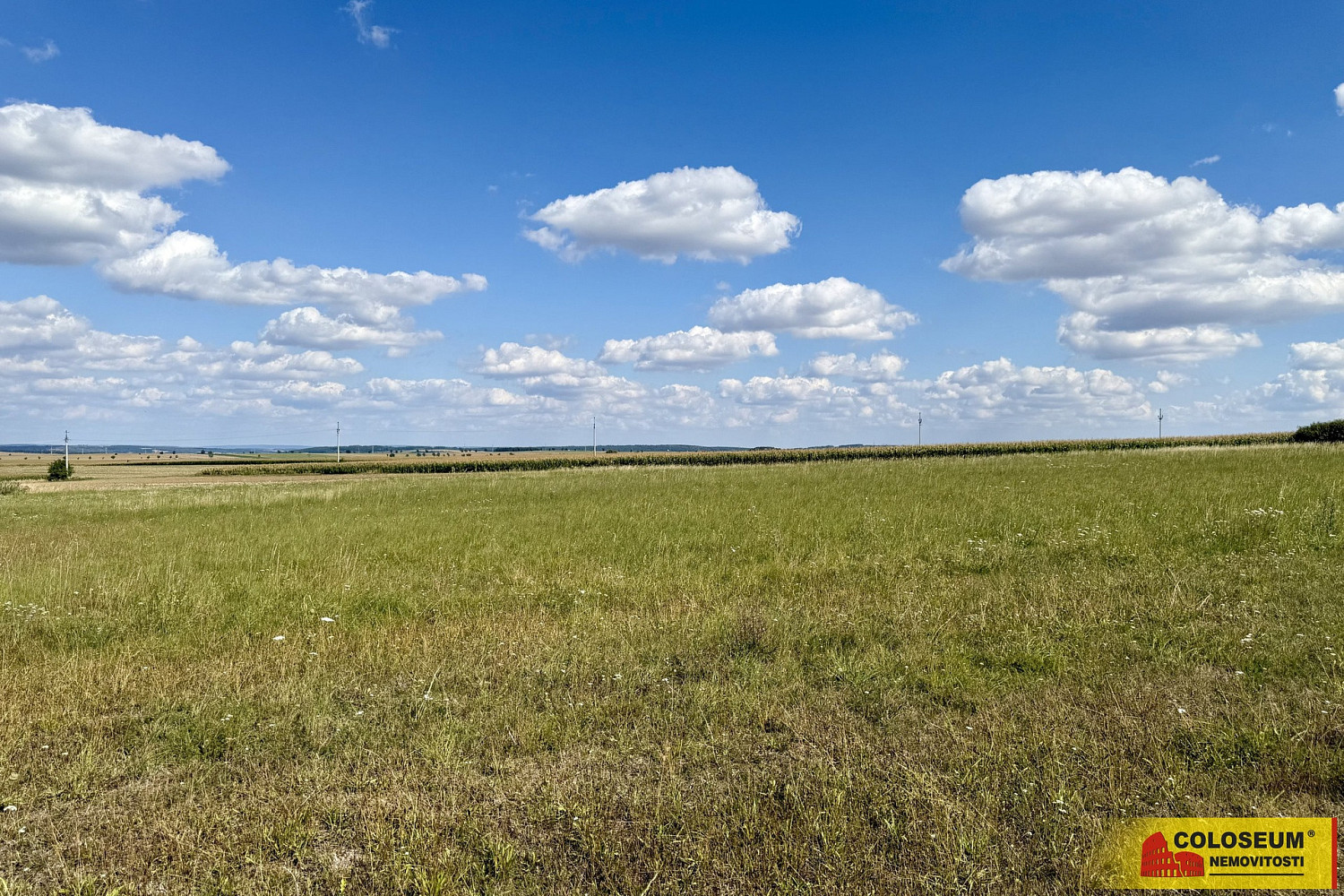 Prodej komerčního pozemku 22 332 m² – fotografie 5