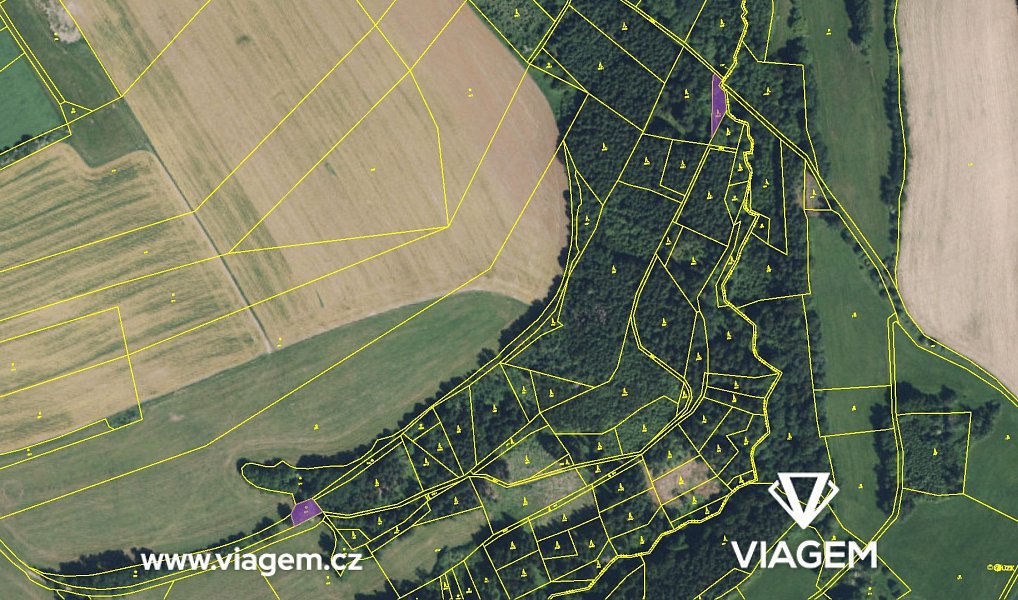 Prodej lesa 917 m², Příkrý – náhled fotky 4