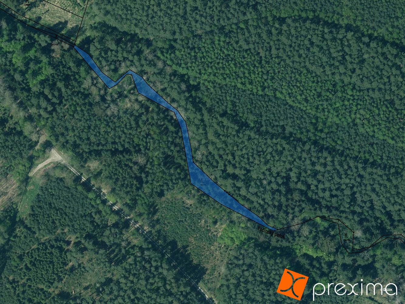 Prodej lesa 308 m²