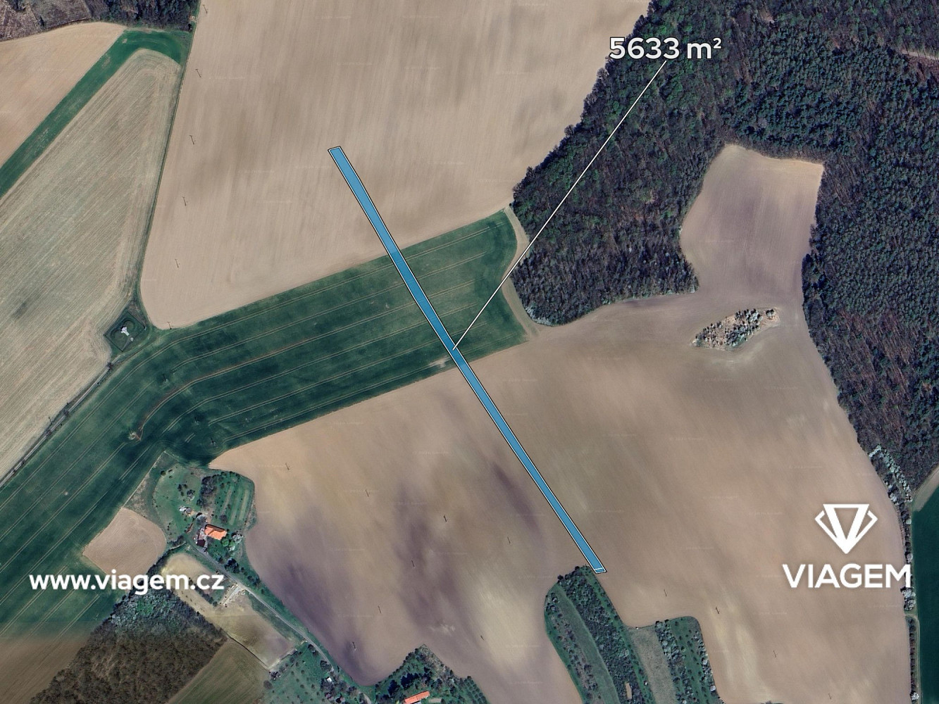 Prodej pole 1 126 m² – fotografie 2