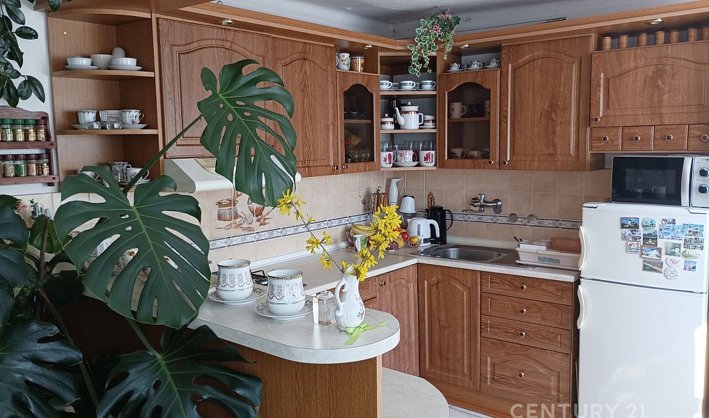 Prodej domu 220 m² s pozemkem 539 m², Němčice nad Hanou – náhled fotky 2