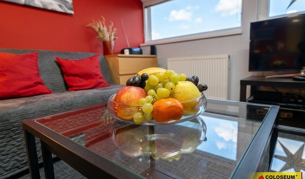Prodej ubytovacího objektu 42 m², Jeseník – náhled fotky 11