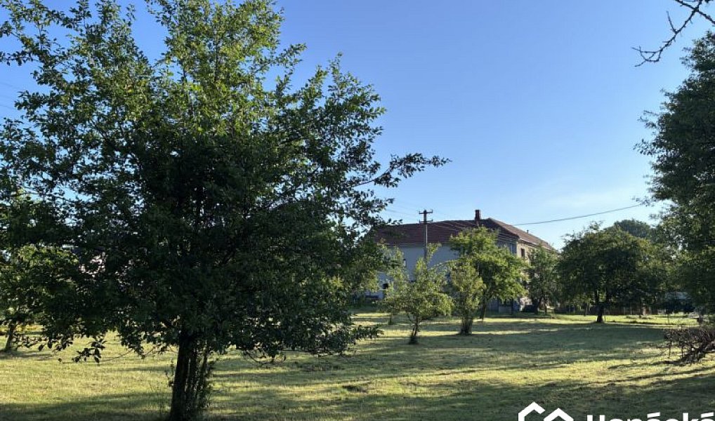 Prodej zahrady 3 994 m², Bělotín – náhled fotky 15