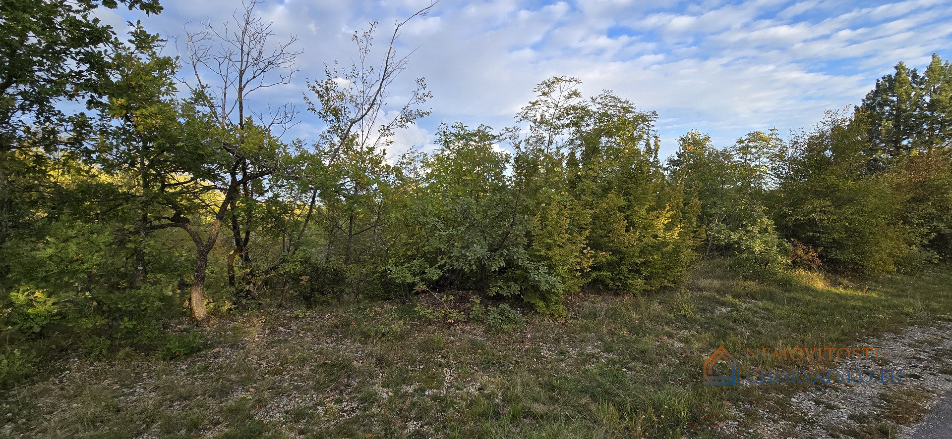 Prodej stavebního pozemku 13 280 m² - Więcej