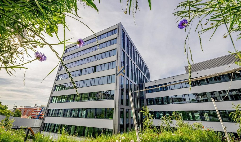 Pronájem kanceláře 500 m², Praha – náhled fotky 6