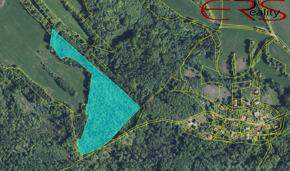 Prodej lesa 37 279 m², Merboltice – náhled fotky 3